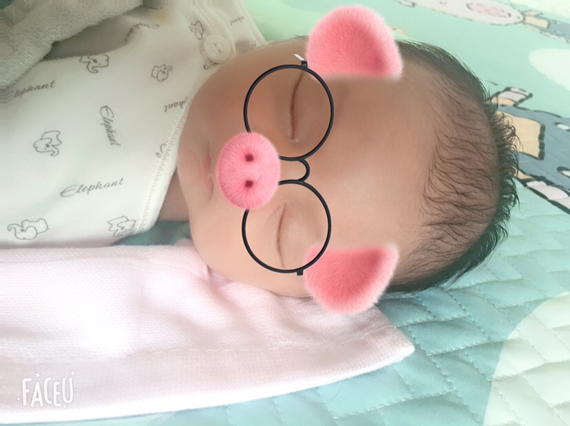 小乔治今天出生了七天了，白天睡觉💤晚上闹！从小就是个夜猫子😂😂
