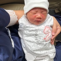 报喜了，顺产6斤4，小猪乔治.