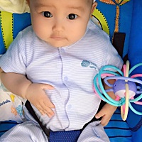 宝宝四个月了，怀孕的时候就特别安稳的小家伙，月子里也无比的乖，感谢遇见你让我被需要，让我收获...