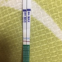 我5月16号的末次月经，早上的晚上的，意念灰呀！