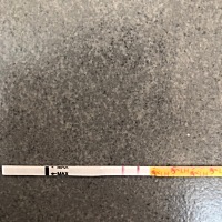 昨晚刚安排过，今天测出强阳，啥时候安排合适？心累啊