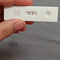 我是上个月5月18号月经来的，到这个月6月18月经没有来，我就用试纸_试了一下，怀孕了，现在去医院检查能...