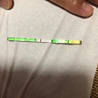 小伙伴们这是怀还是没怀啊，末次月经27号，昨天测也是这样