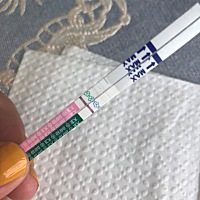 排卵试纸和验孕试纸并排放会串色吗