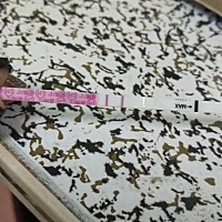 各位有经验的妈妈们，这算是强阳吗，在线等回答