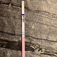 宝宝可以帮忙看下这是有了么？谢谢，新手上路，不懂，请指点下