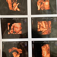 来凑个热闹、也好奇是乔治还是佩琦、