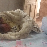 头胎宝宝37周就迫不及待的出生了，6.20号那天早上我觉得肚子有点不太舒服，但以为是假性宫缩，宝宝...