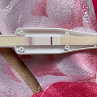 求助各位孕妈，今天是排卵第十天，海式海诺肉眼可见粉印，大卫意念灰，从后面照可以看见两杠。会咋胡吗？？