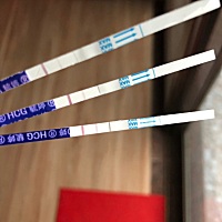 有点小激动 排卵日是17号 姨妈每个月1号来 22号开始测到印子 连续三天都有 是否真的怀上了呢 按顺序来的...