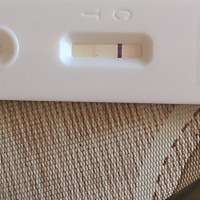 早上用晨尿测的，出门时见只有一条，中午下班回家就看到2条了，姐妹们，这个算不算数呀，求解答，谢谢