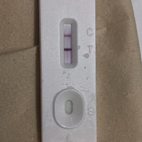 请问这是有了吗？