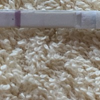 终于等到你，本人13号白带拉丝安排同房，就同了一次，真的是选对时间很重要，22号测等了半小时看到一点...