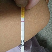 (转)我和朋友同一天排卵是9号，7号和8号都是强阳，9号上午11点测试就弱阳了。我们好像啊，都是强阳两三...