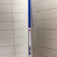 白印是不是试纸自带的啊？ 毓婷的试纸