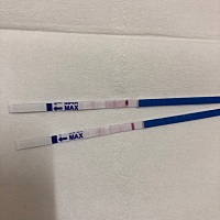 月经迟了5天，第二条很浅，这是怀孕了吗？