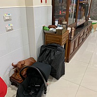 替兒子謝謝姐夫送的兩用推車，实用，又好用，費心費💰了