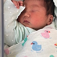 提前17天跟宝宝见面，已经超过48小时了，每天坚持完成产后任务，再疼只要看宝宝一眼，就可以再多坚...