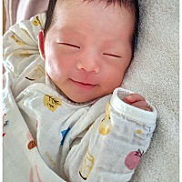 韩家有女。