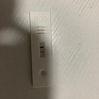 第一次测，这算是怀孕了么？不懂啊。本月排卵期有爱爱