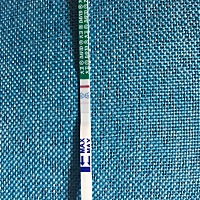 大家帮我看看，给是怀孕啦，还是意念灰，我看着有一根淡淡的线，昨天和今天测了都是这种