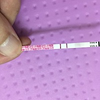 (转)近期好像蛋白质有点过敏，不太敢随便吃肉了，金秀儿半定量强阳的时候安排了，什么时候可以测早孕啊...