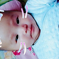 小佩奇100天了