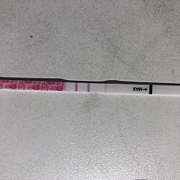 下午有点白带拉丝，晚上用金秀儿测试了一下，请问这是排卵了吗