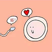 女性这一生中会排出多少个卵子？ 每月排卵，即产生1个卵子。排卵是一个复杂的过程，很大程度上依赖...