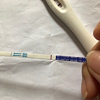 这是怀孕了吗？ 2