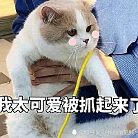 胸不胀痛，姨妈推迟三天是不是怀孕了？