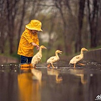 孩子的童话世界 ​​​​