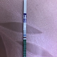 这是怀孕了吗，末次5.23日，要是怀孕了为啥前两天用早早孕试纸白板