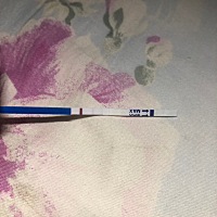 今天是姨妈日，姨妈没来，测了就是这样，是有了吗？