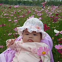宝妈们都给自己宝宝吃什么牌子的奶粉啊 什么奶粉牌子好不上火啊 求告知