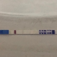 这是怀上了还是没怀上呀