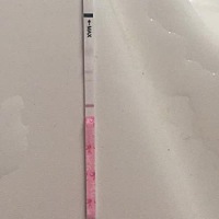 (转)一备孕整天就开始一直想一直想好累啊我已经测了四根秀儿早孕试纸了没反应，估计明天来大姨妈了，还...