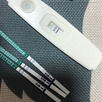 姐妹们，怀了没？我一点感觉都没有 急死