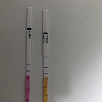 这是怀了吧，5.31末次，本来这次没抱什么希望，推迟两天才测的，排卵试纸秒红强阳，才测了最后一根早孕...