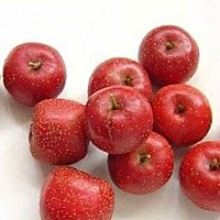 山楂能让女性月经一顺到底 治疗痛经、月经不调中医认为山楂具有活血化淤的作用，是血淤型痛经朋友的食疗...