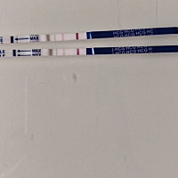 今天一天都觉得很累，然后就测了一下，出来两道，不相信，又拿了一个还是两道，这是怀孕了吗？？？