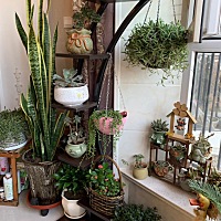 我这艰难的一年！七月是我最艰难的一个月。早上五点起床，有氧运动一个半小时，赶紧洗漱吃早点化妆。八...