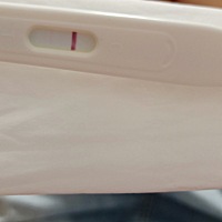 26号排卵，第七天，是意念灰吗