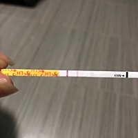 请问这样浅浅的出现两道算排卵吗