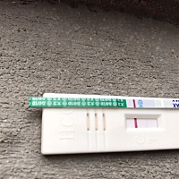 上次月经6月5号，昨天晚上测排卵试纸两条杠，然后验孕棒上今天跟昨天测都是淡淡的印子。是怀孕了吗
