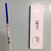 上次例假6月5号开始，本该这个月3号来，还没有来，测了之后好懵，这是没怀吧？最近胃胀也便秘，是不是生...