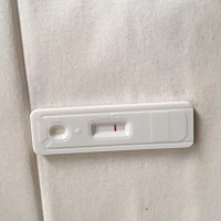 末次月经7月4号！今天是5号！前几天肚子有点疼这几天胸部疼！昨晚还是肚子有点疼像来姨妈！今天早上测的...