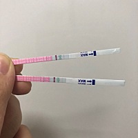 想问一下大家这是要排卵了吗？大家帮忙看一下