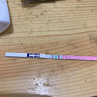 这是排了款了还是没排呢