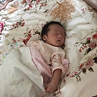 宝宝半个月了，因为是剖腹产都是吃奶粉多点，现在宝宝也不会吸乳头， 也不吃乳头了，我都是用辅助喂奶嘴...